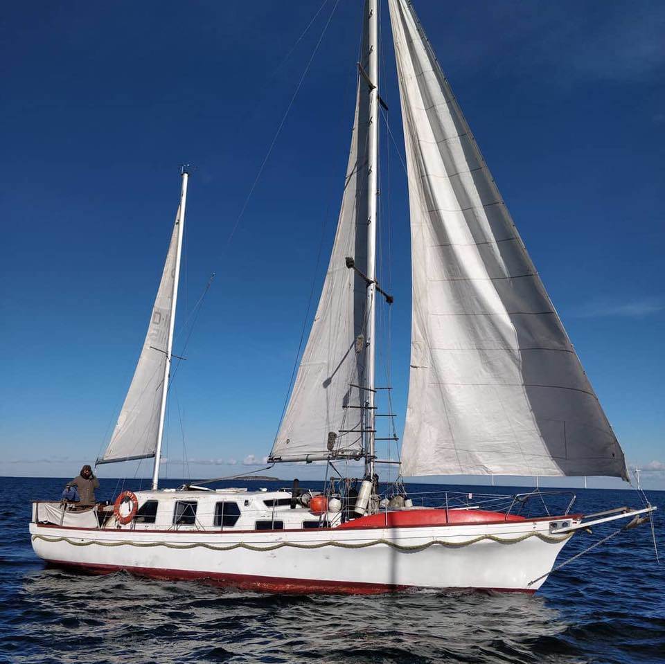 56374423 2665745063442696 5728044397723910144 n