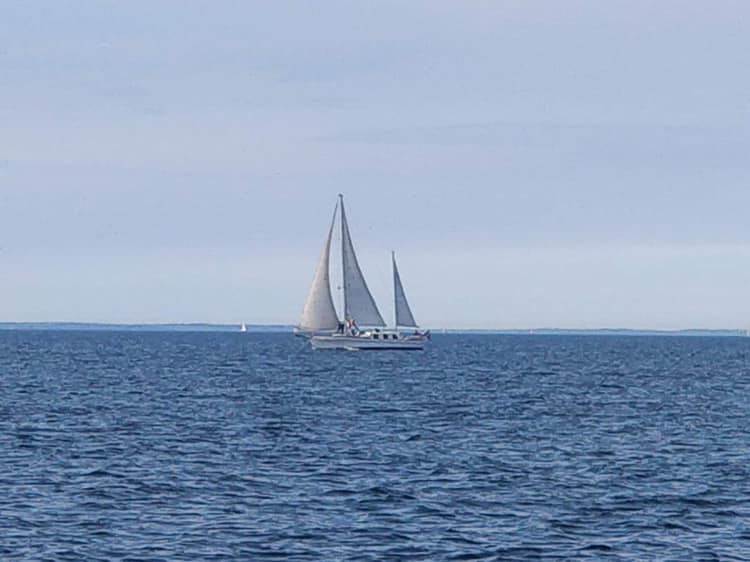 61983615 2767948713222330 6088323245403013120 n