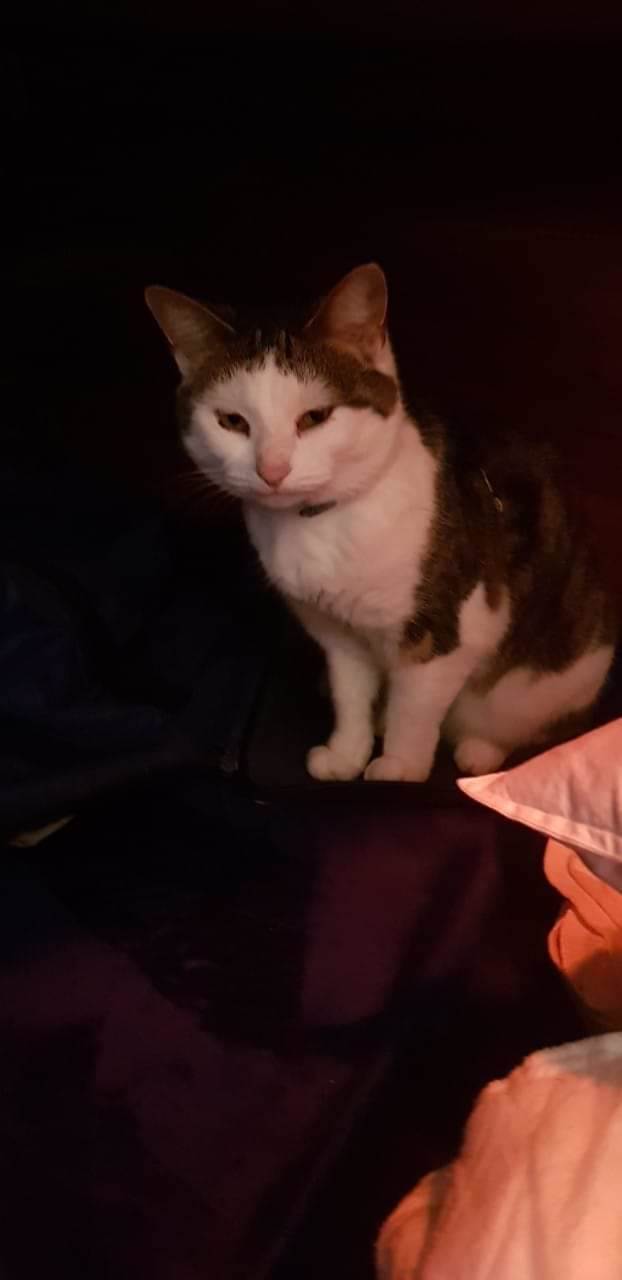 FB IMG 1560383870146