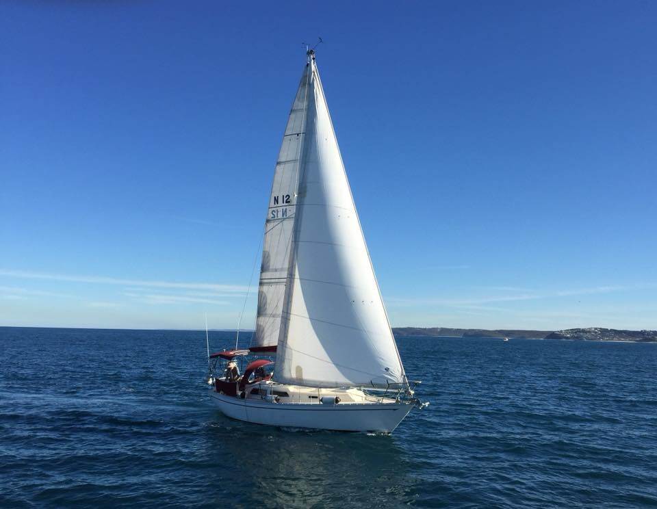 Paloma, a Cav32 in Newcastle