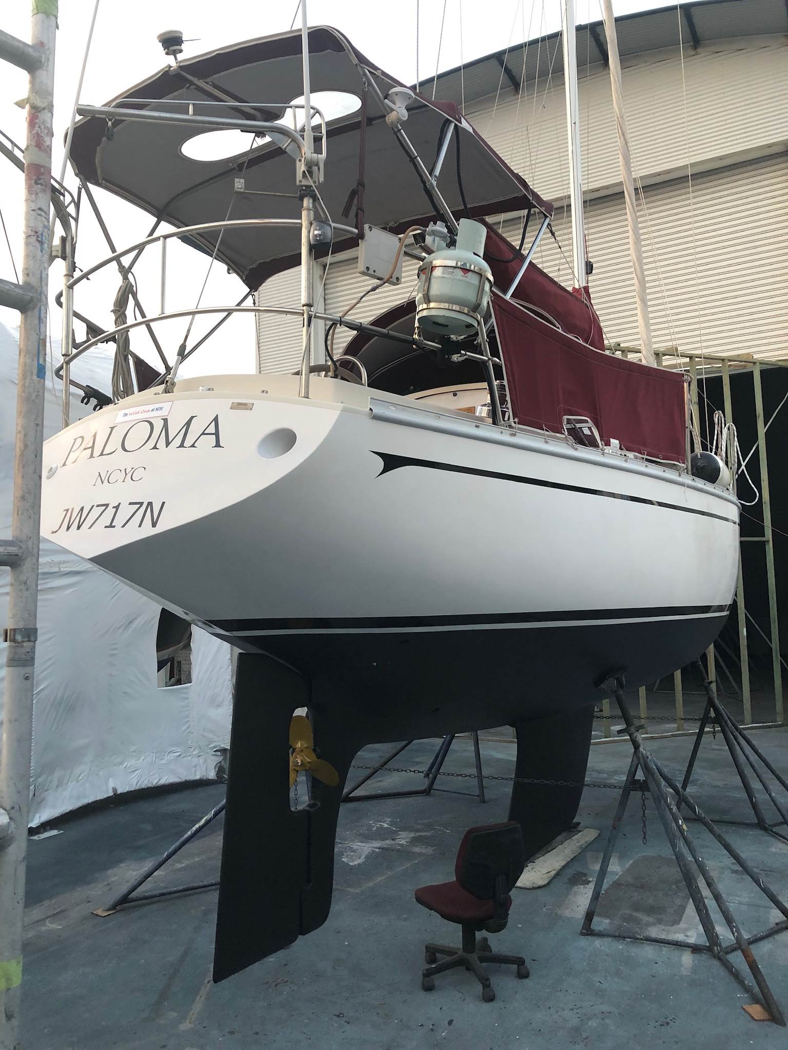 Paloma, a Cav32 in Newcastle