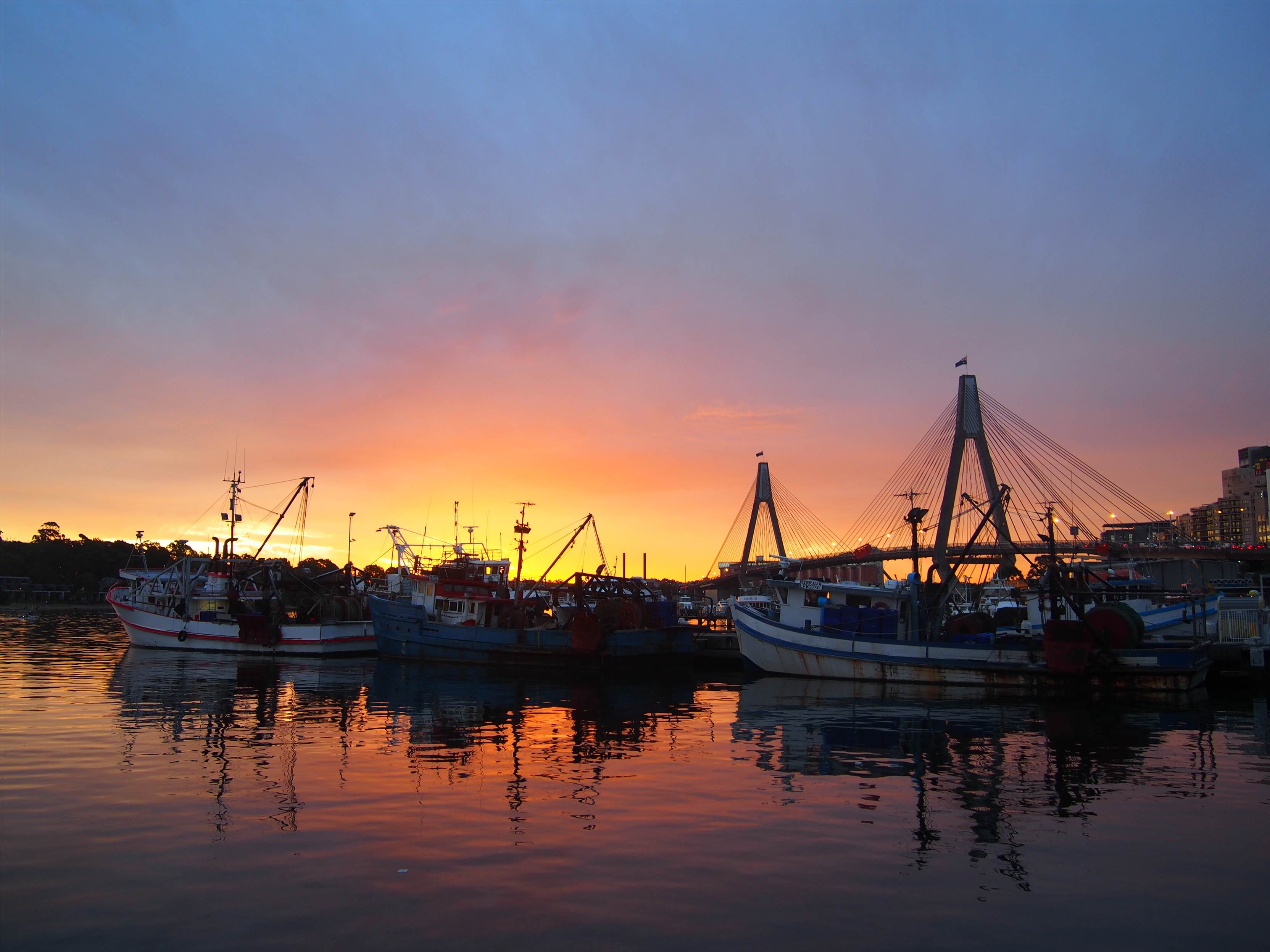 Sydney Fish Markets (1)