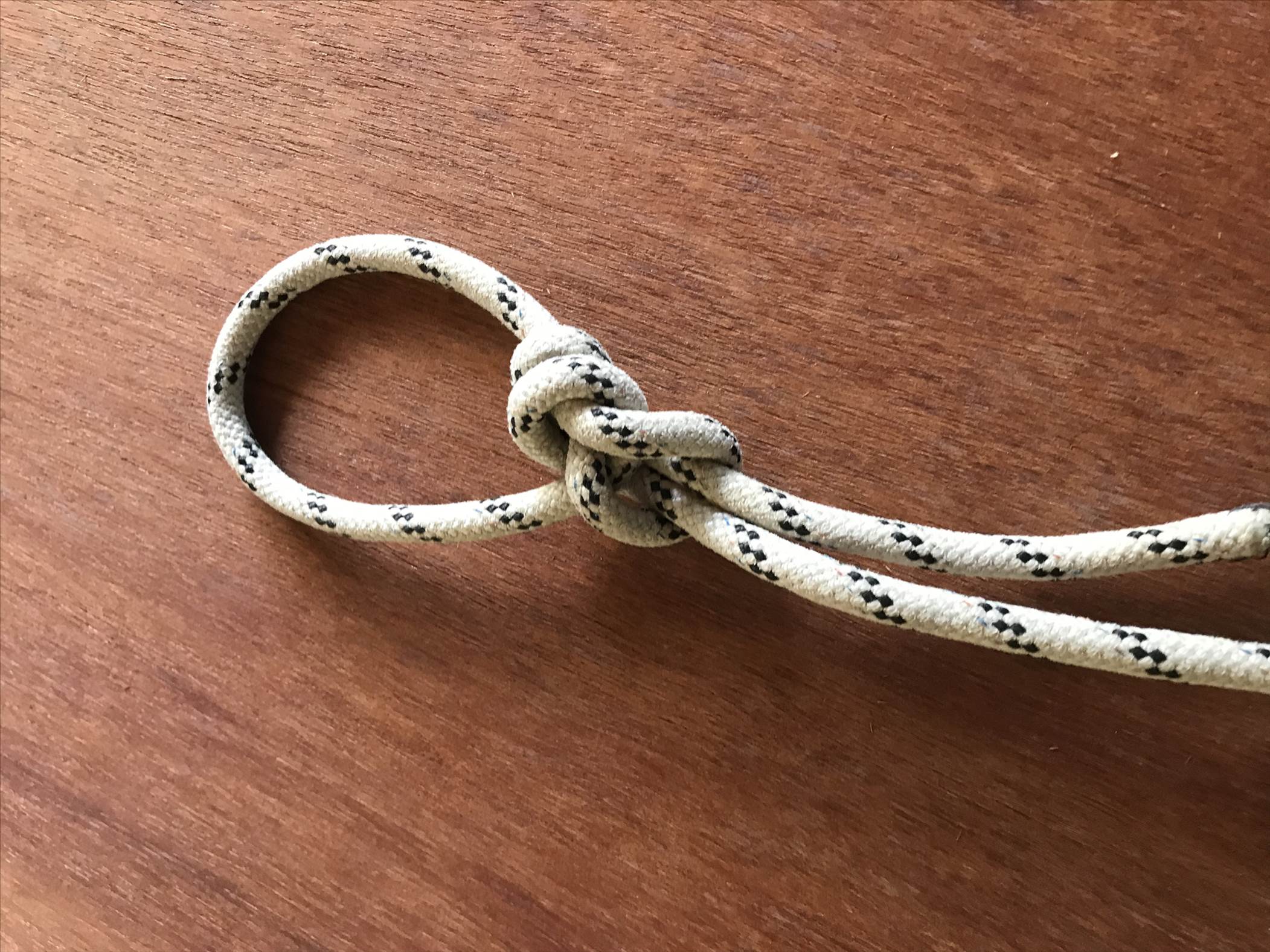 ugvRANhaTtWXSvjVuAiSEQ