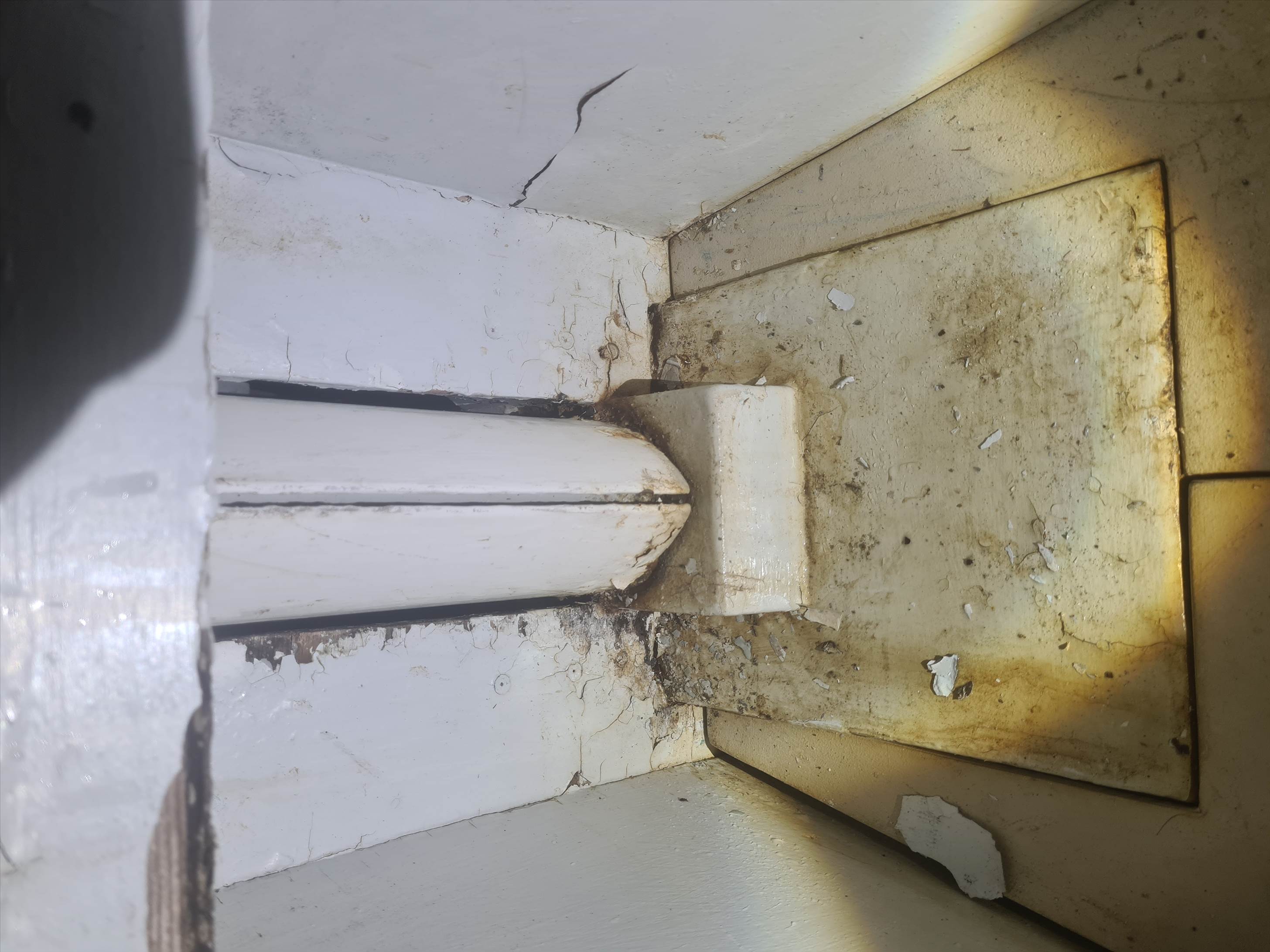 Tbird 26 deck & cabin inspection