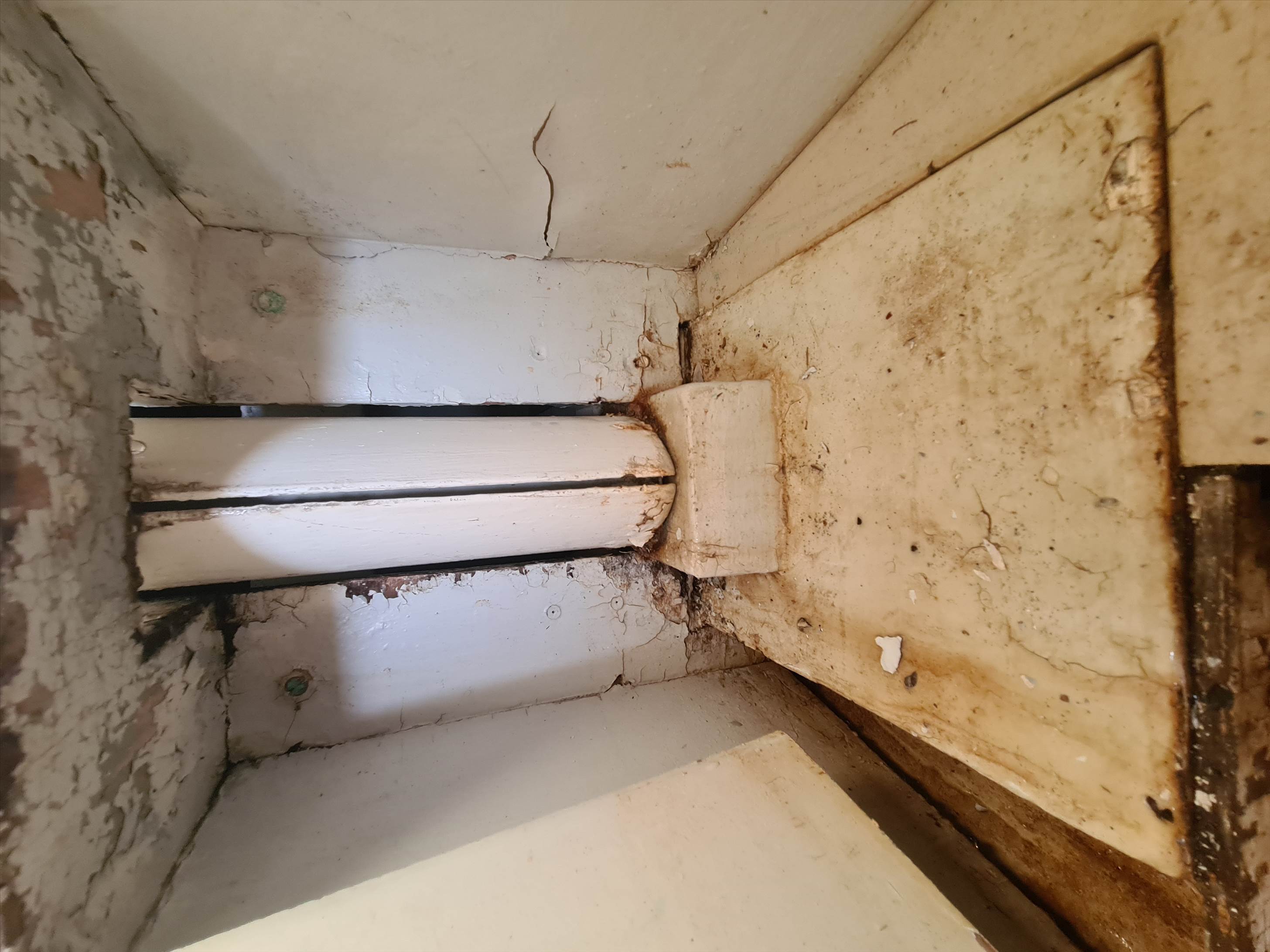 Tbird 26 deck & cabin inspection