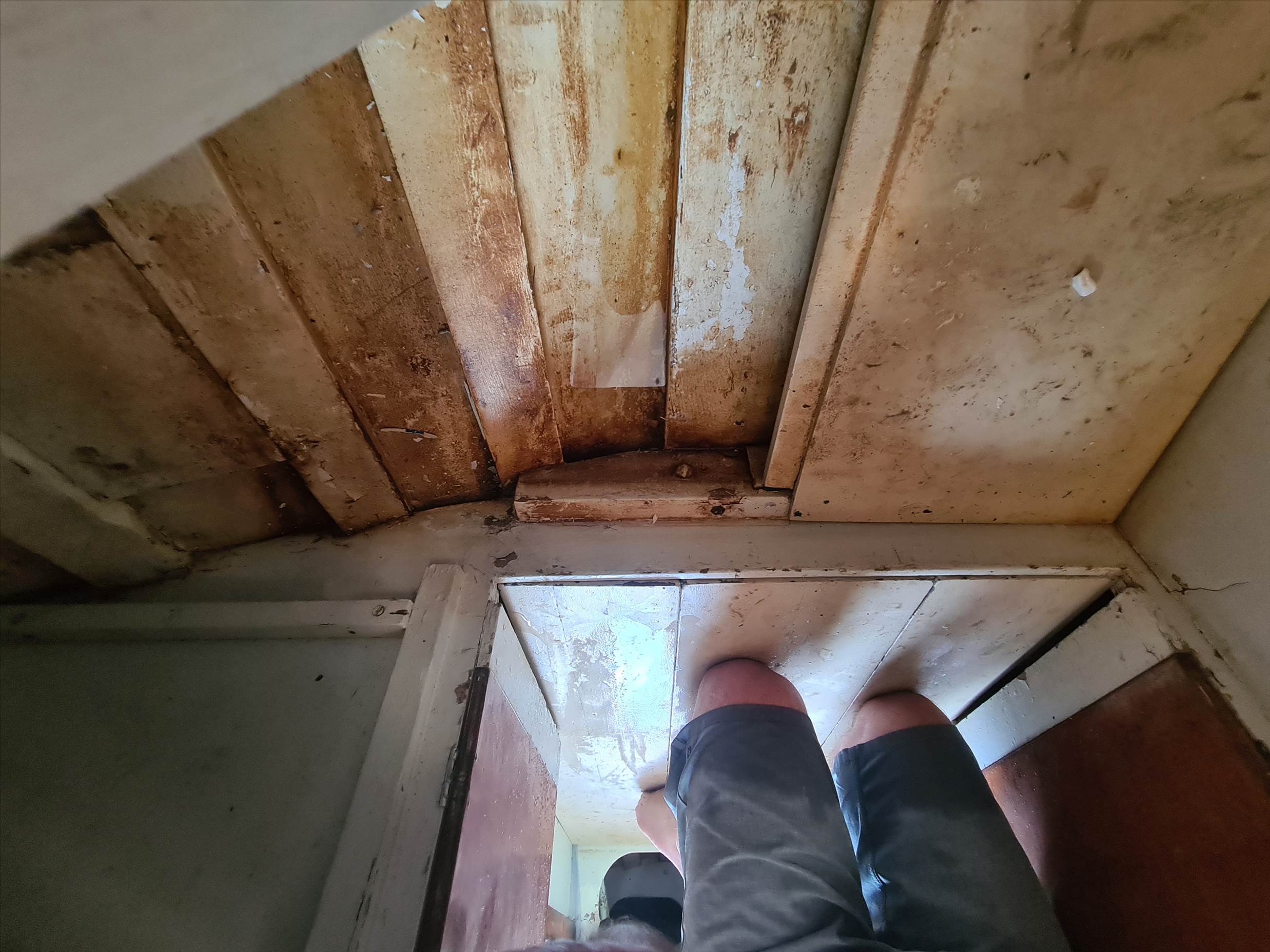 Tbird 26 deck & cabin inspection