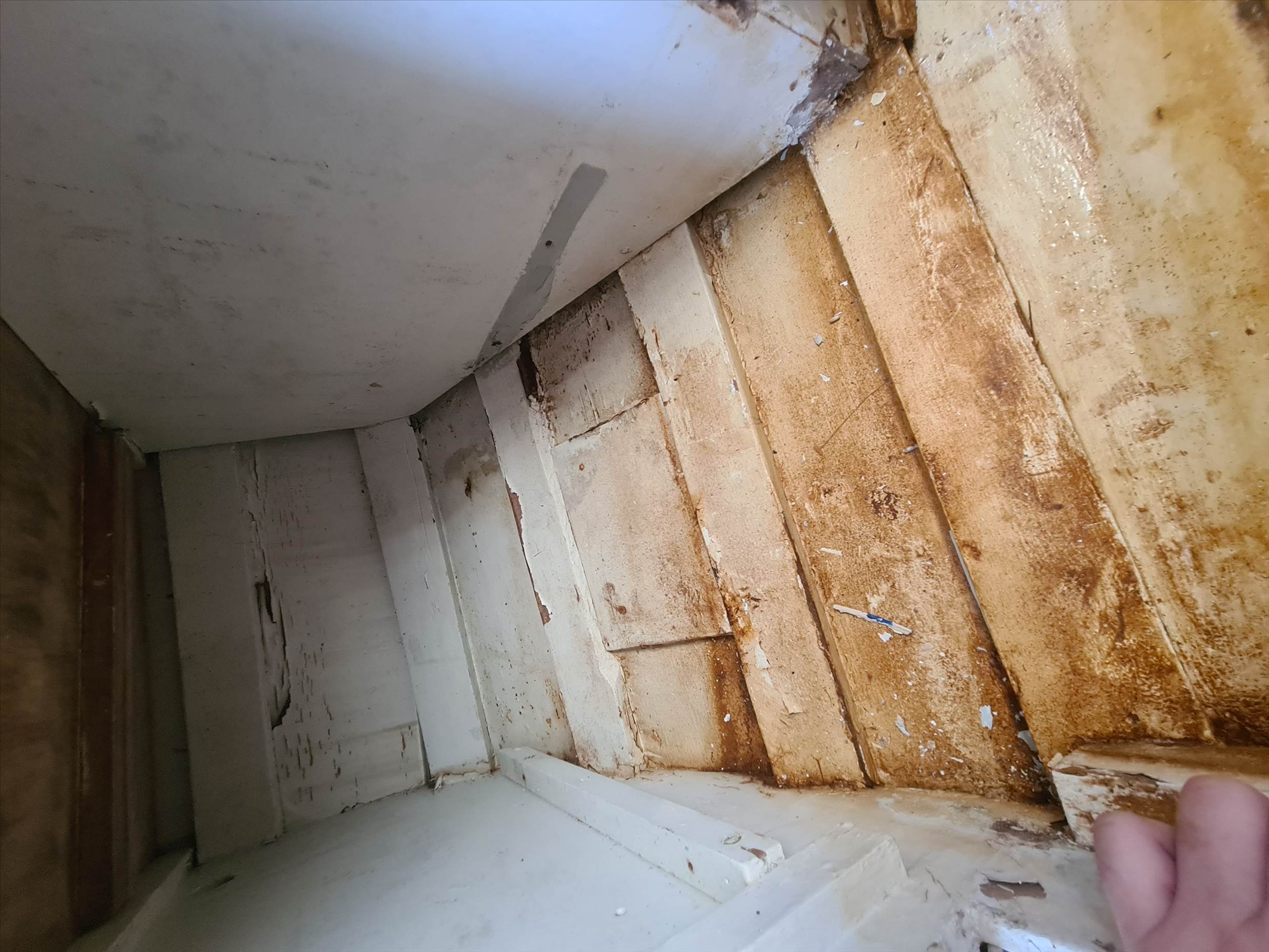 Tbird 26 deck & cabin inspection