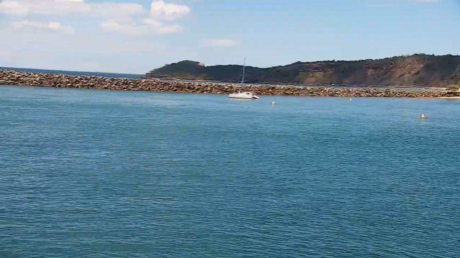 Screen Shot 2021-11-12 at 1.22.41 pm