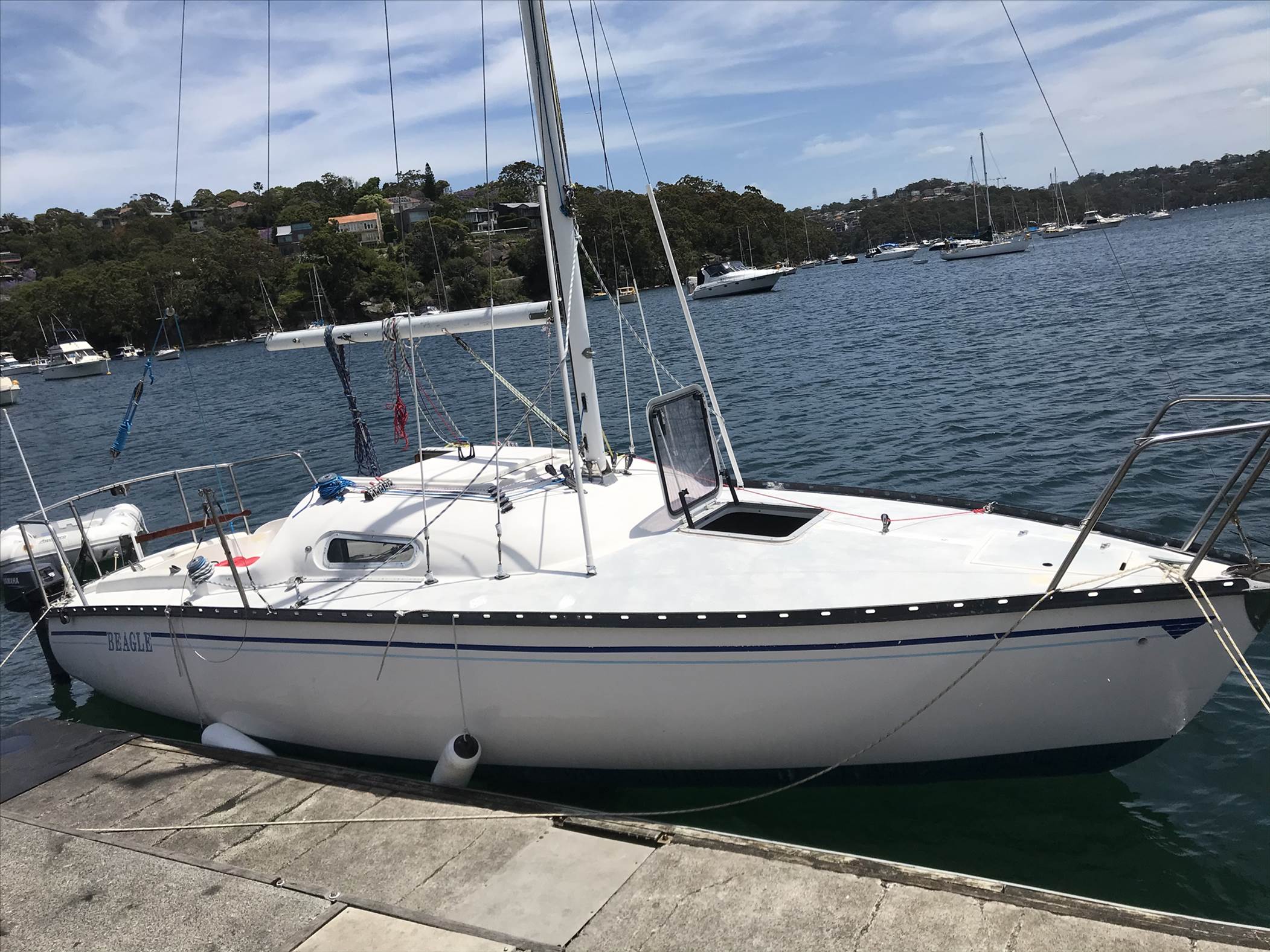 Tasman 22