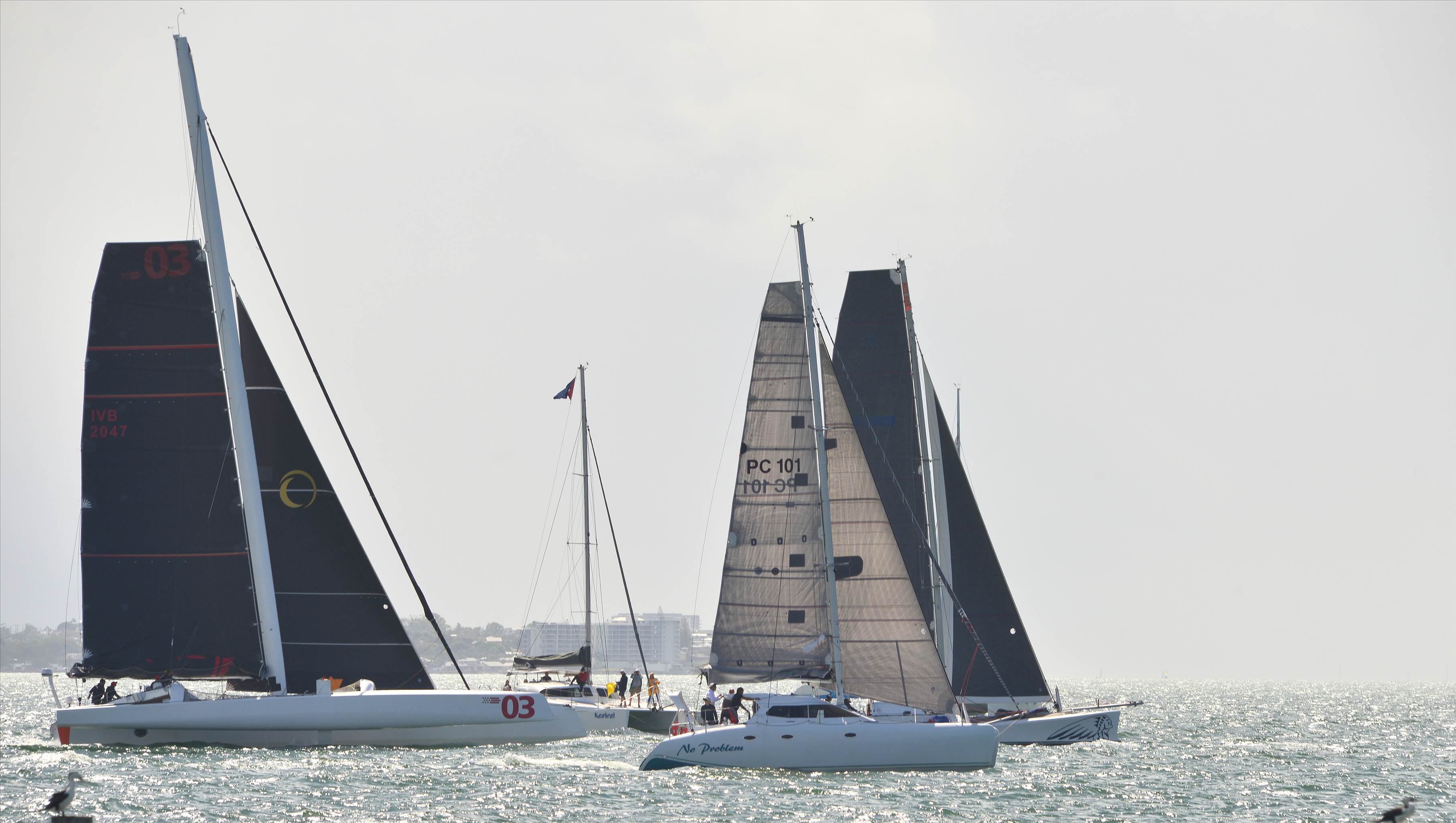 2019 Brisbane to Gladstone Multihull Yacht Race