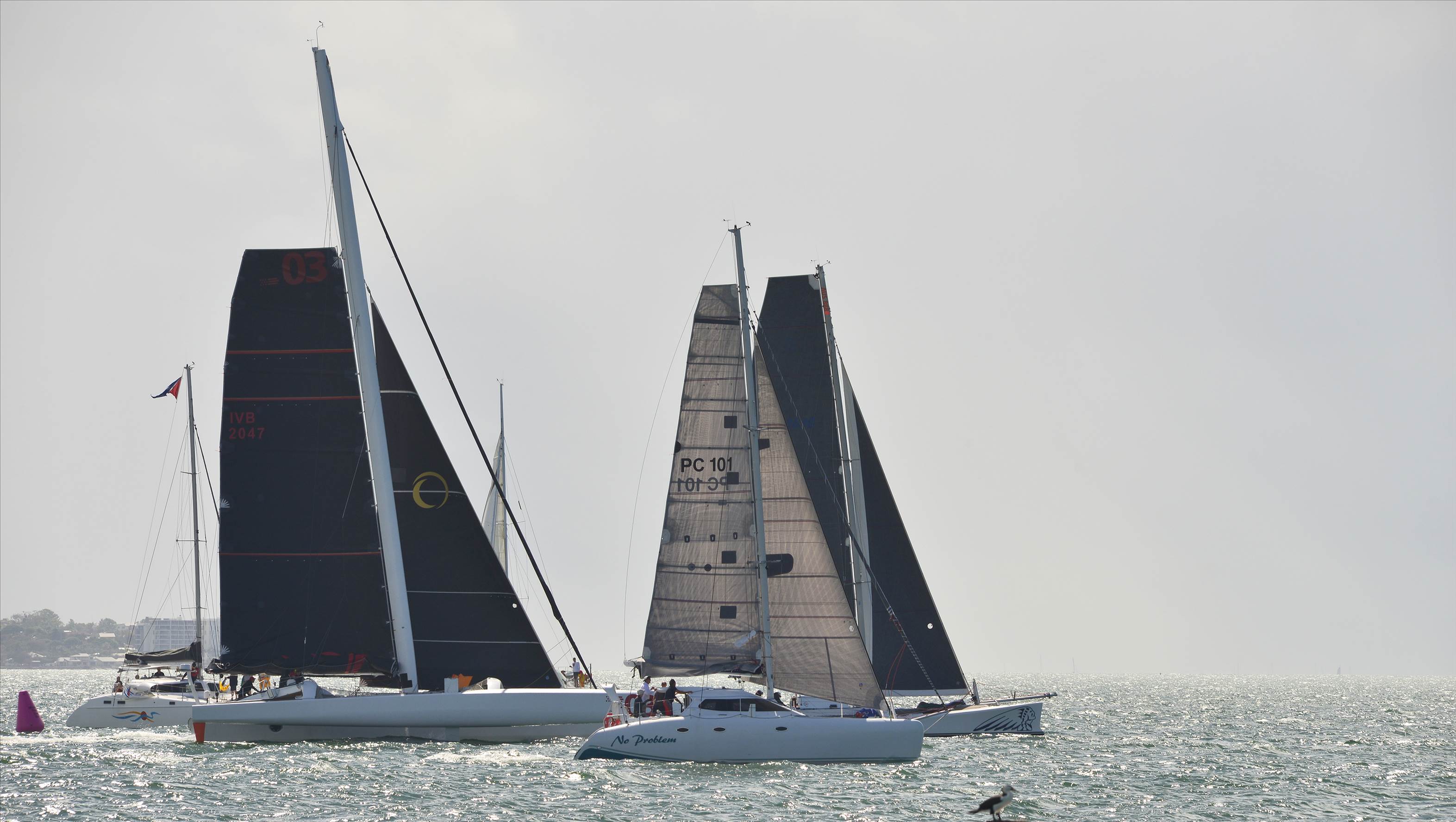 2019 Brisbane to Gladstone Multihull Yacht Race