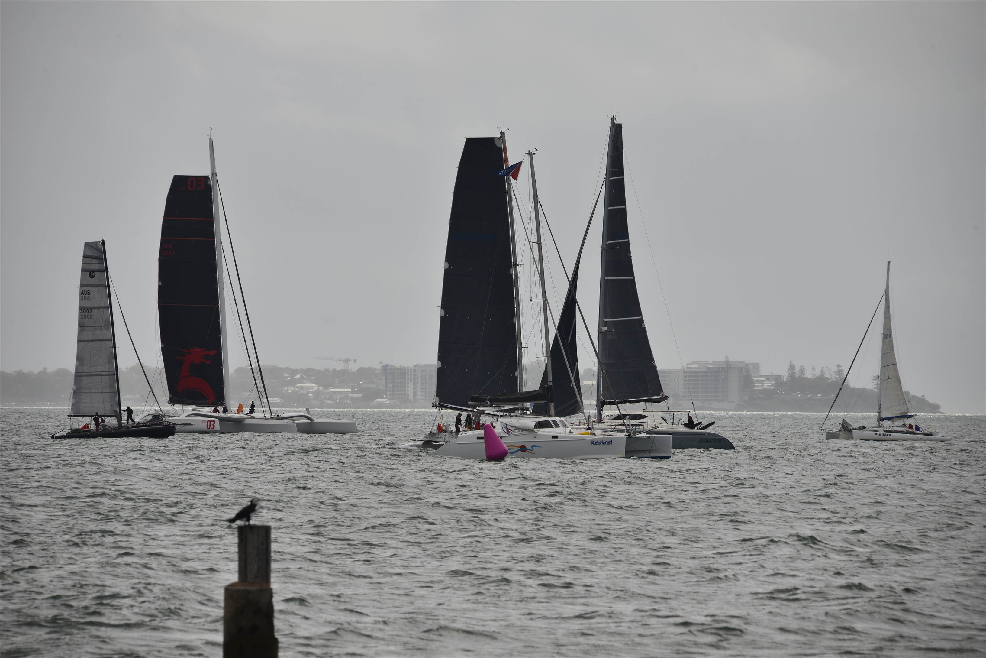 2019 Brisbane to Gladstone Multihull Yacht Race