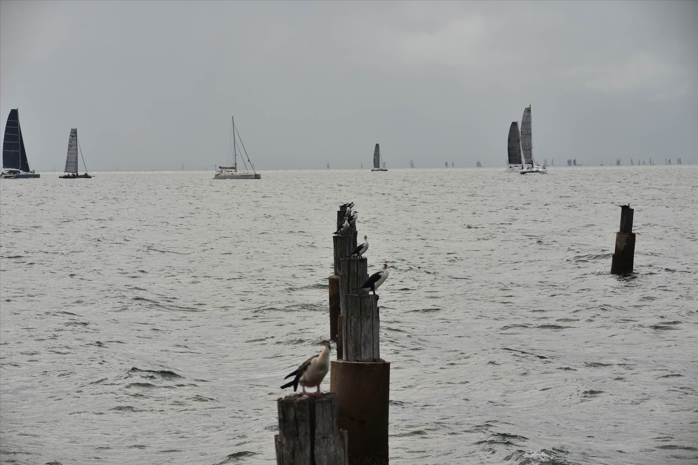 2019 Brisbane to Gladstone Multihull Yacht Race