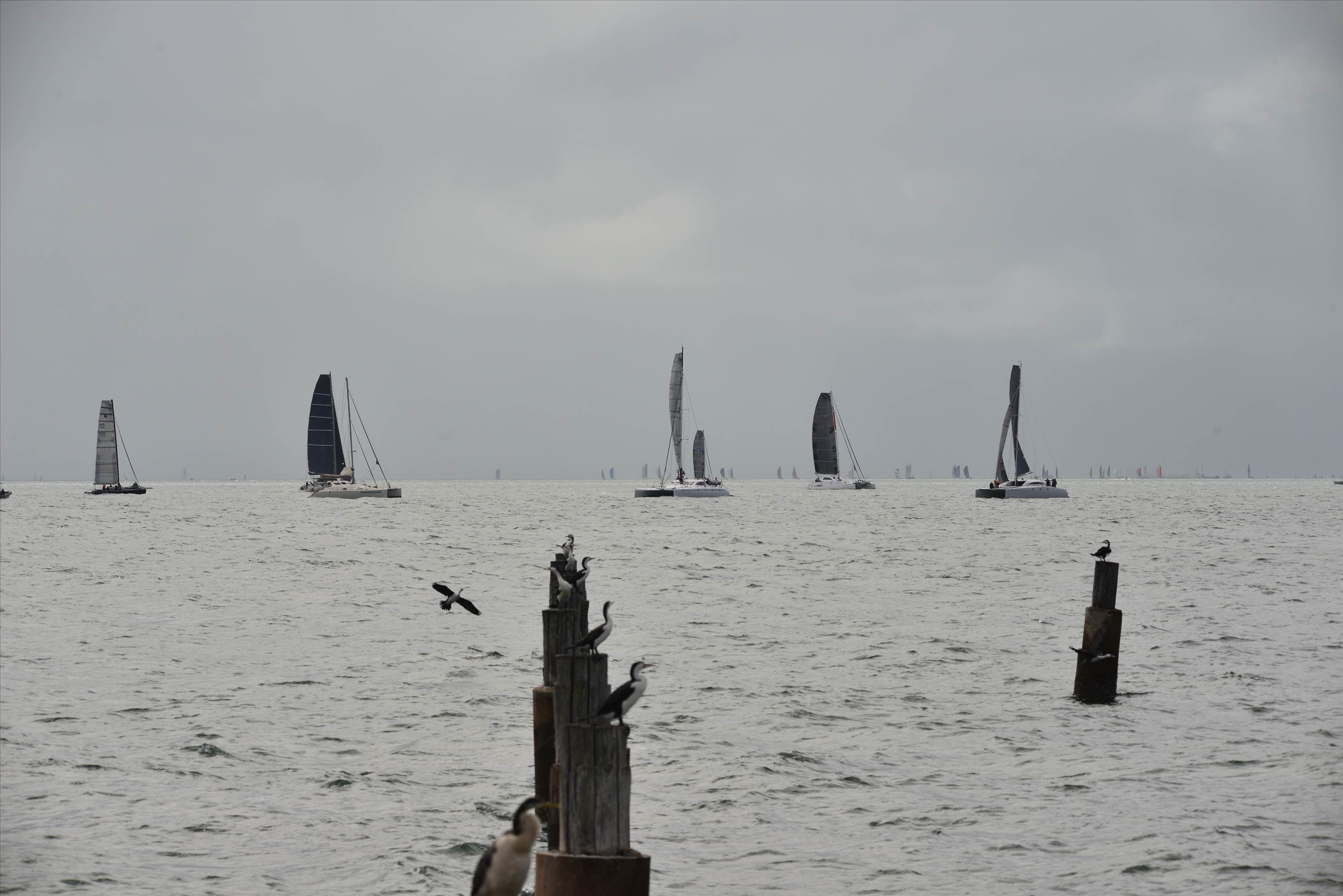 2019 Brisbane to Gladstone Multihull Yacht Race