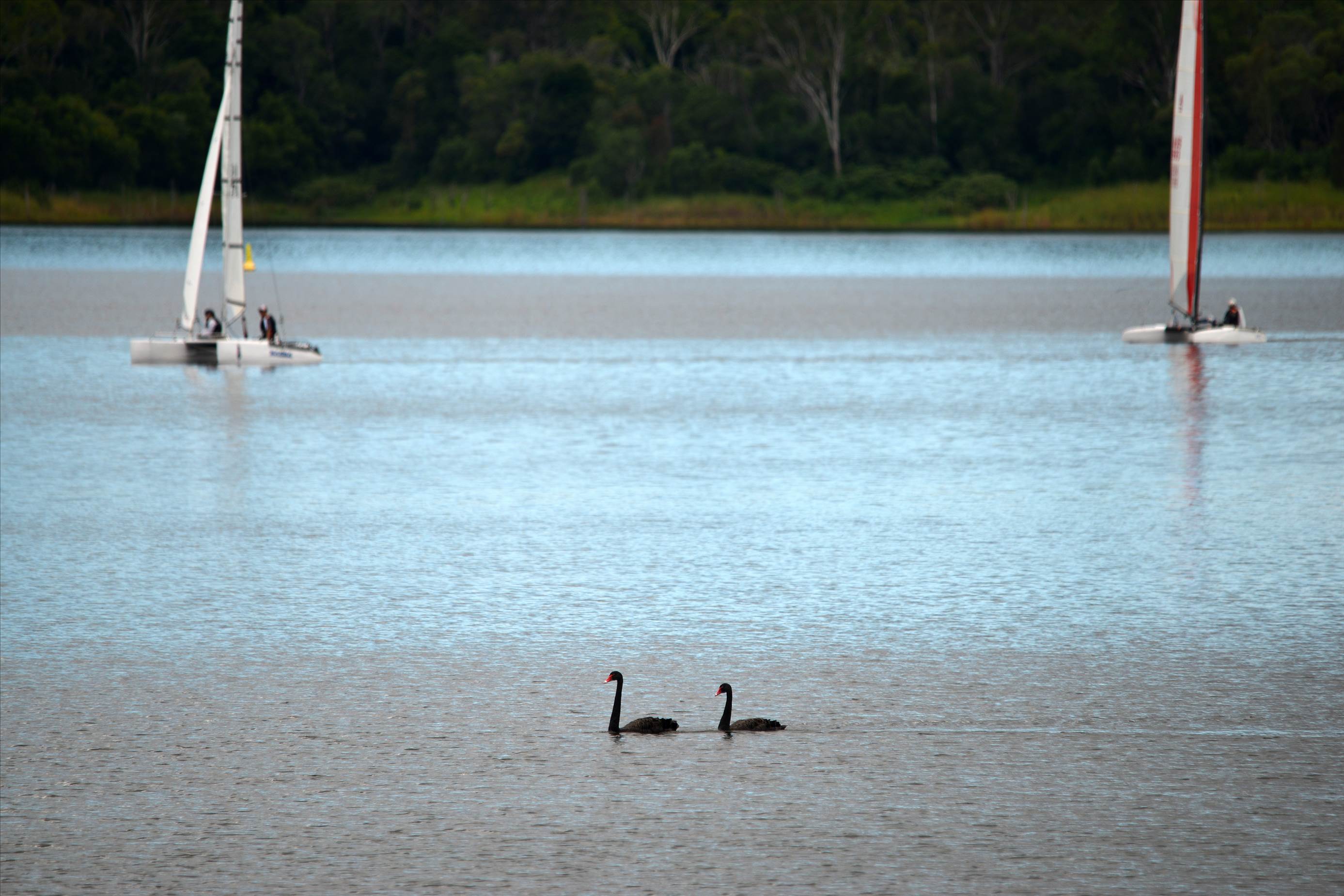 Lake Samsonvale Water Sports Association (LSWSA) 2022 Regatta (Race 1, Sunday)