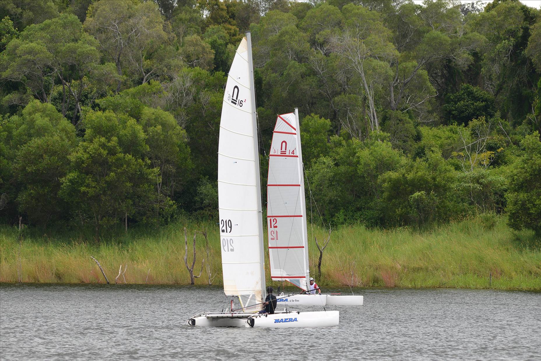 Lake Samsonvale Water Sports Association (LSWSA) 2022 Regatta (Race 1, Sunday)
