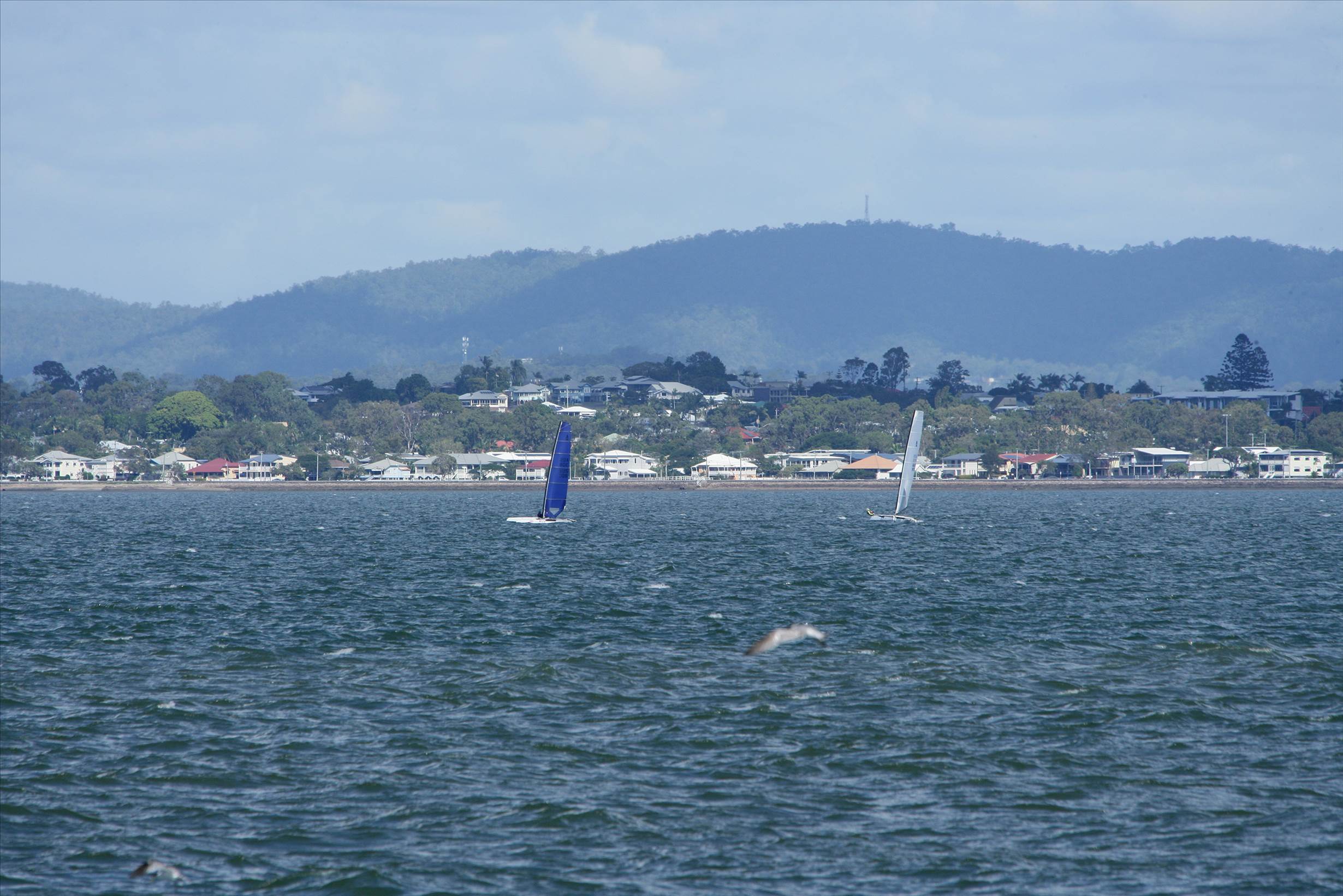 2017 "A" Class Catamaran State Titles (Day 2)