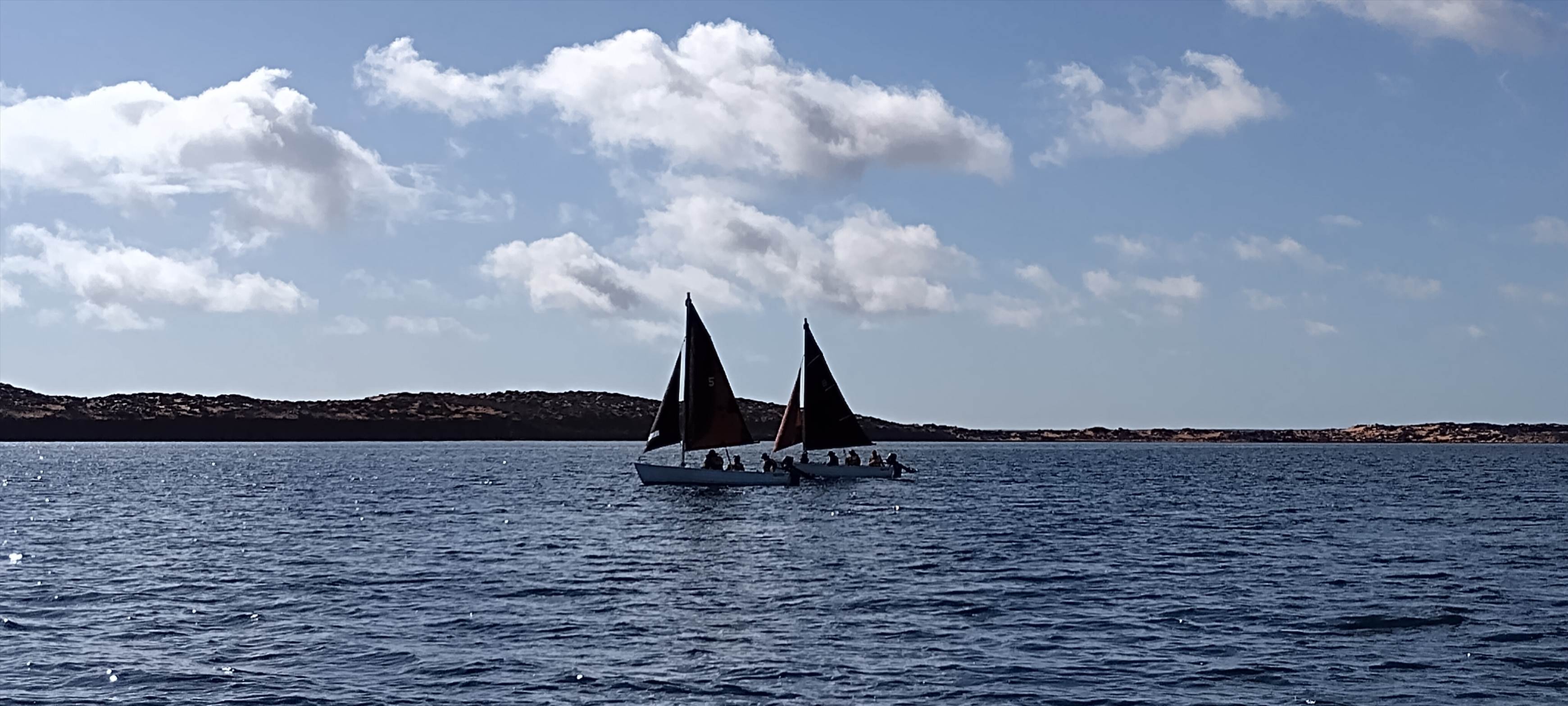 WA Department of Transport seaboats in Shark Bay