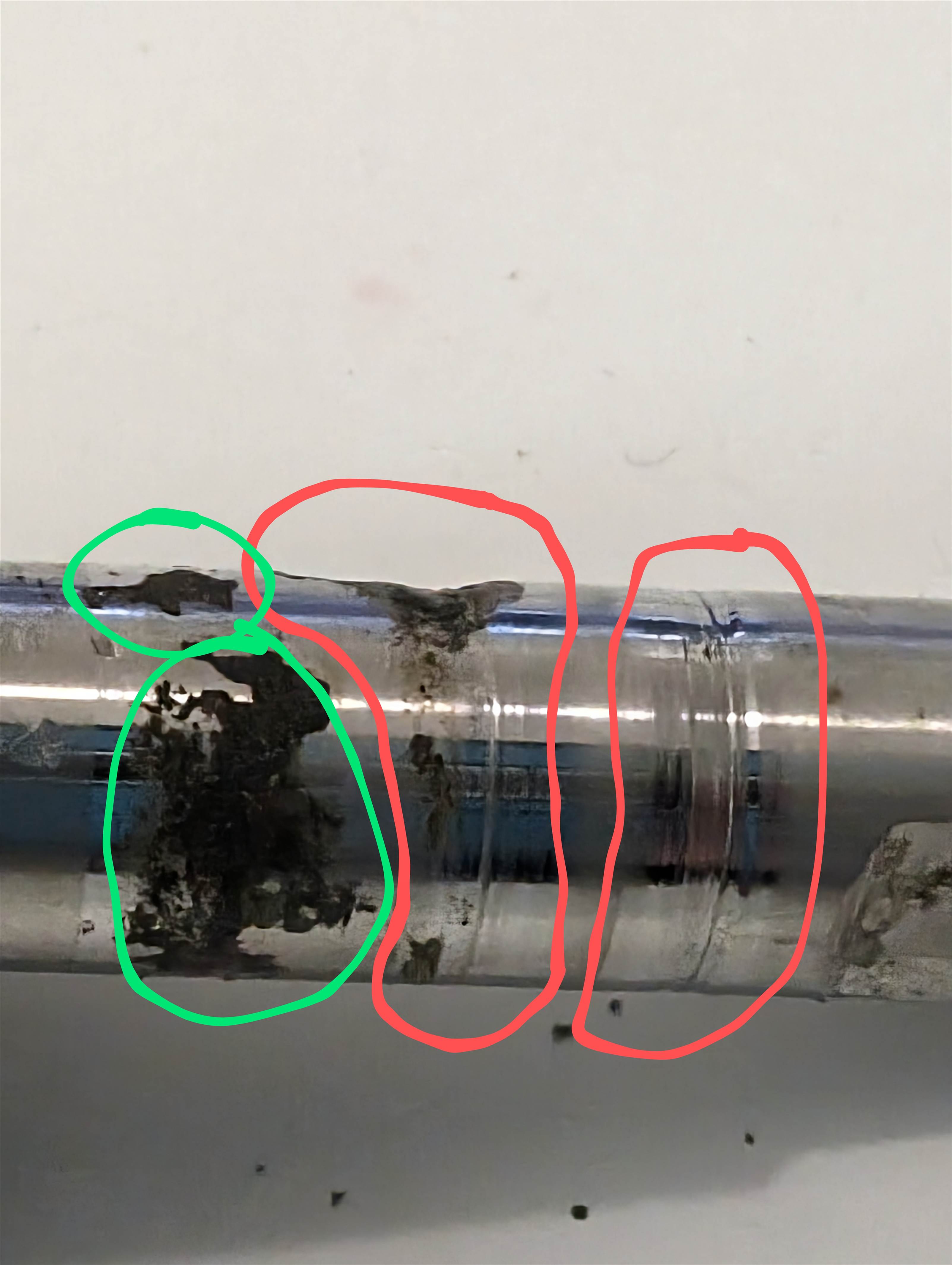 PXL20240514005720485~2