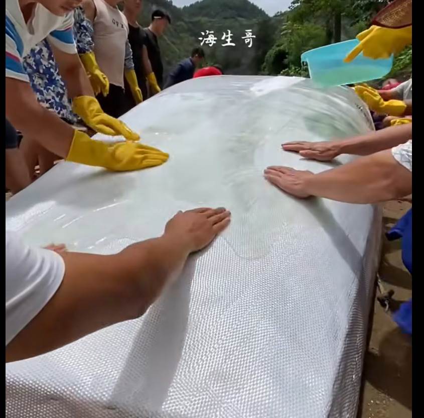 Screenshot 2024-11-10 082045