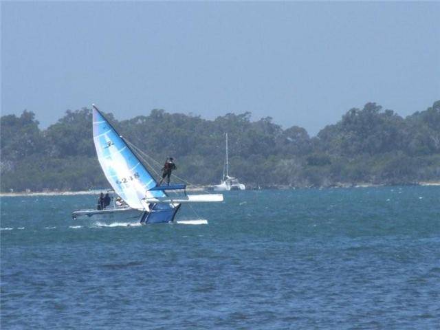 Australia Day 09 flying high