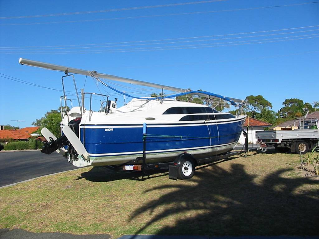 SEAHORSE on the beach