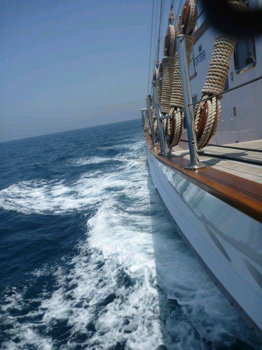 29319 396675113882 621068882 4267841 484671 n