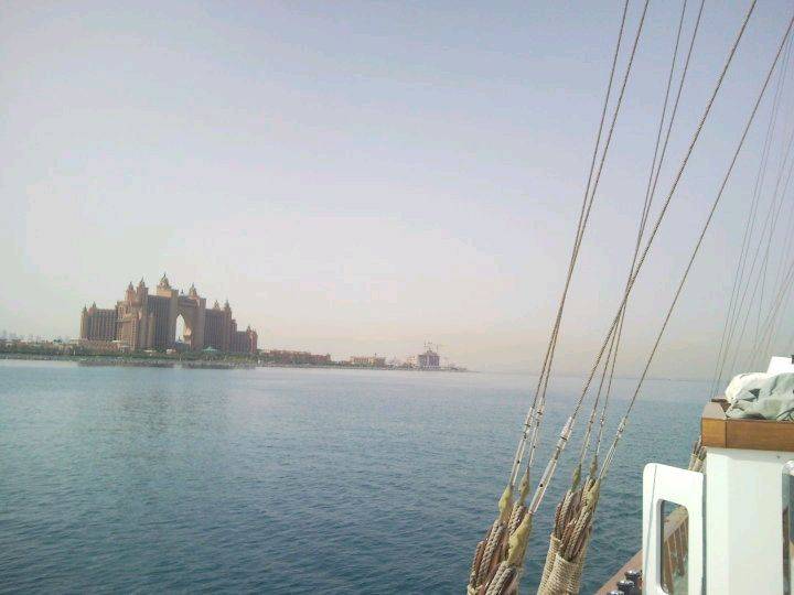 28619 390335843882 621068882 4111371 4973910 n