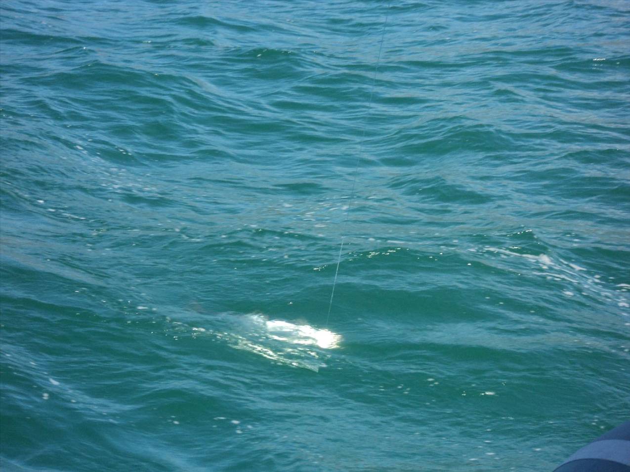 Cruising Hinchinbrook