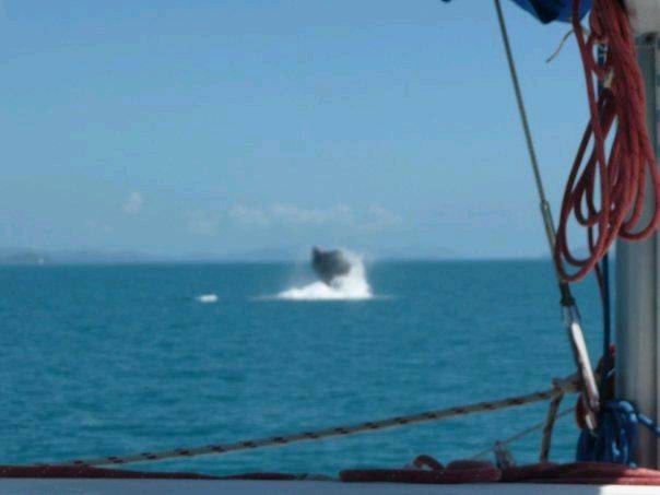 9128 178714999568 554014568 3621497 2847449 n