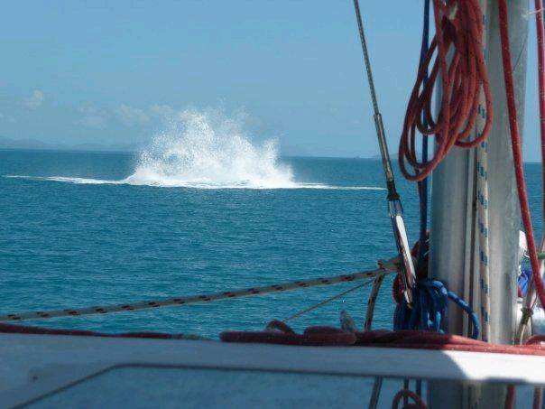 9128 178715009568 554014568 3621498 4720000 n