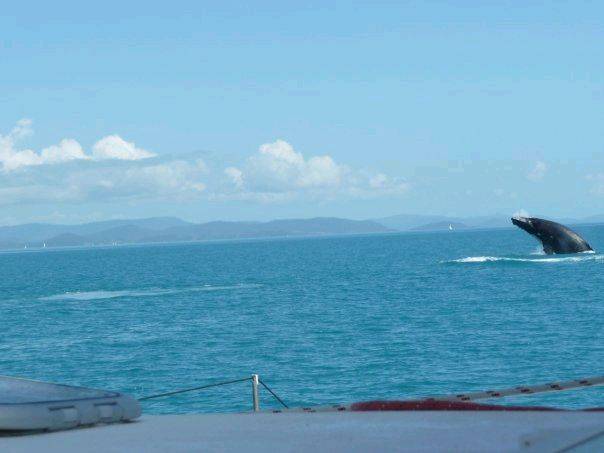 9128 178715014568 554014568 3621499 7813084 n