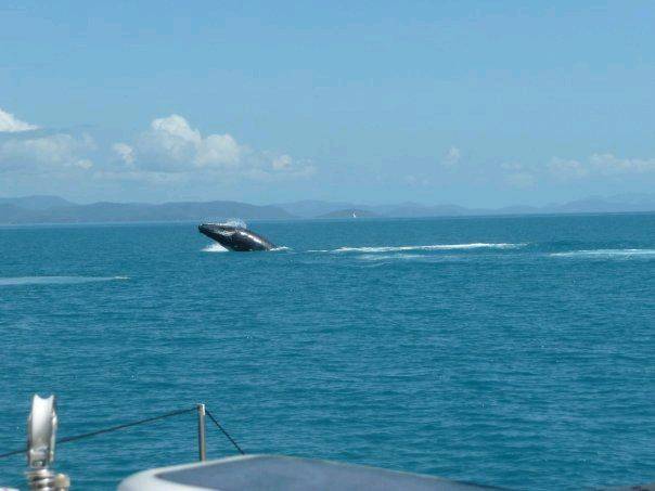 9128 178715024568 554014568 3621500 6532752 n