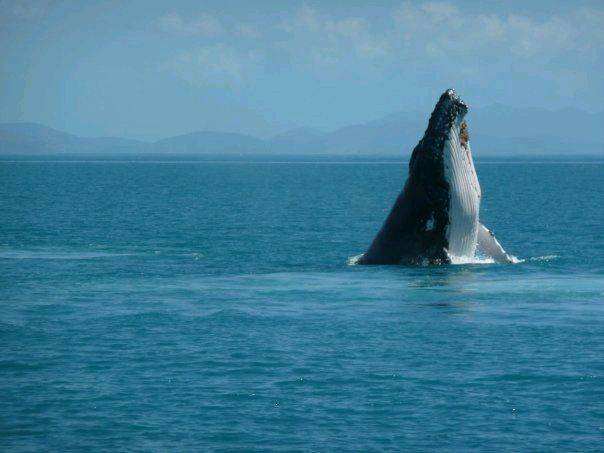 9128 178715034568 554014568 3621501 3418300 n