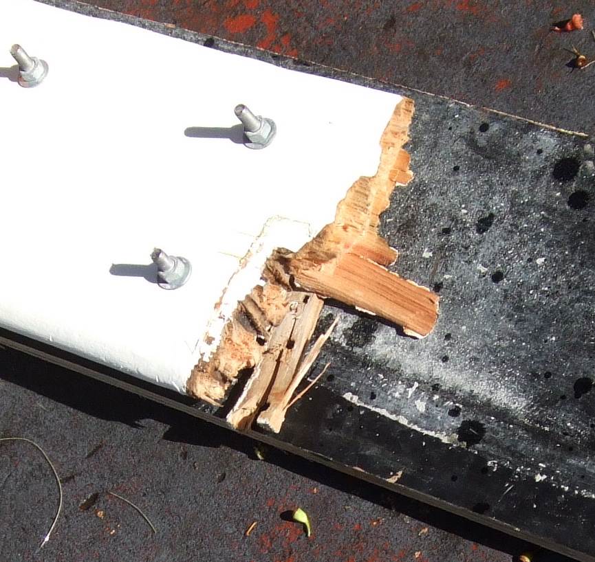 rudder detail.JPG copy