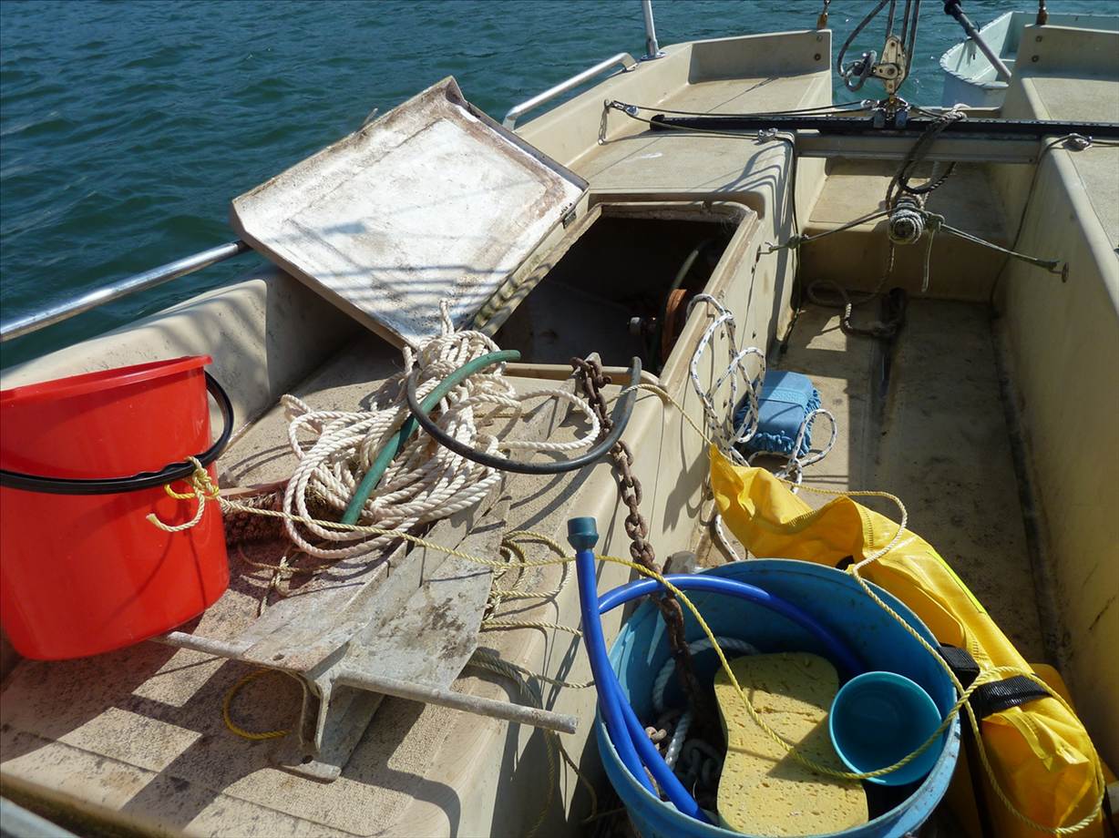 Livelyhood after cleanup