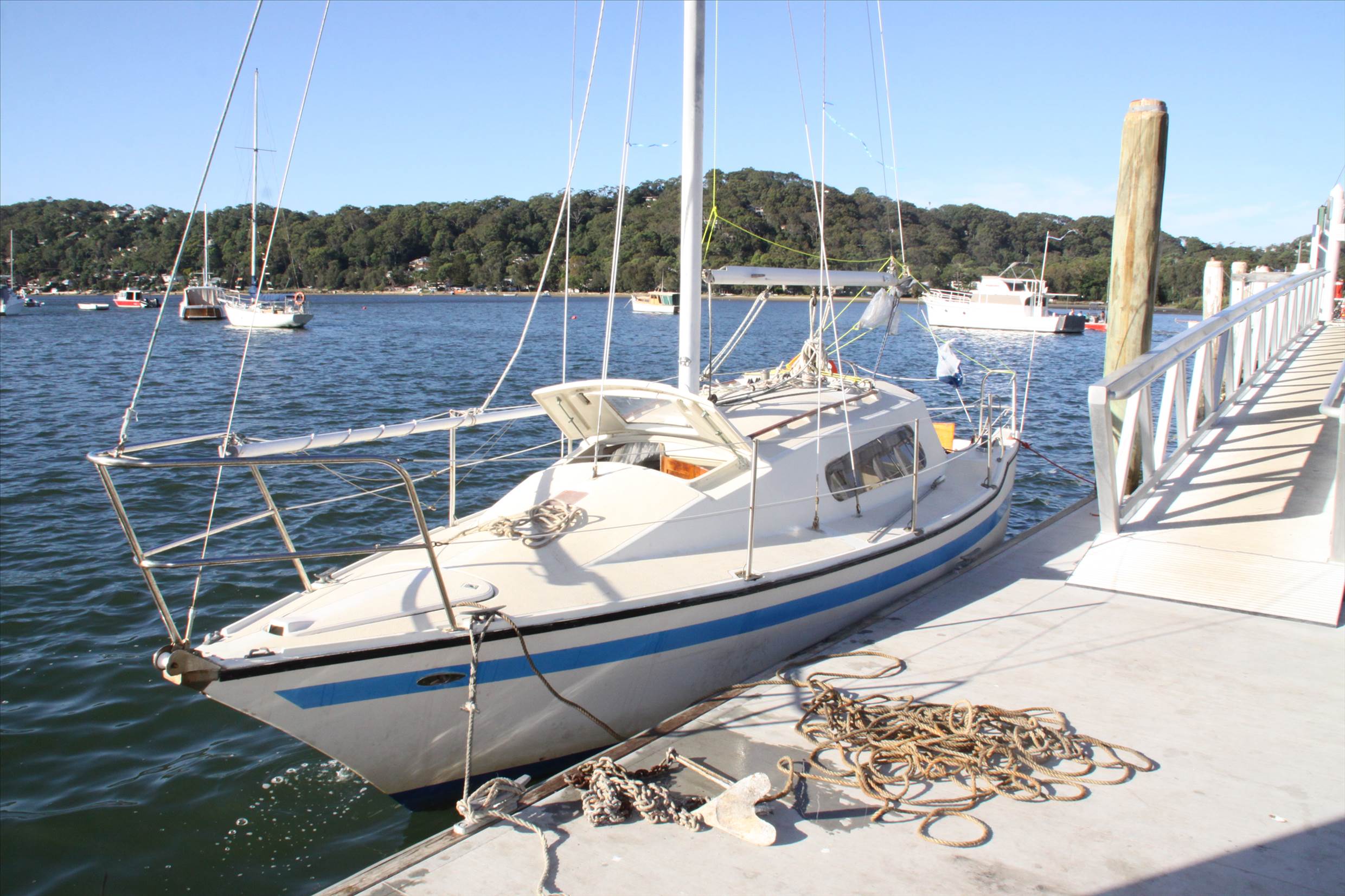 Mystere 25 'Pisco Sour'