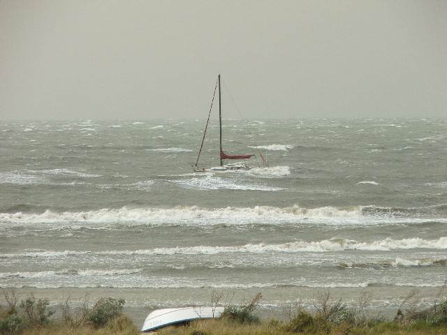 Windy day April 08 #01