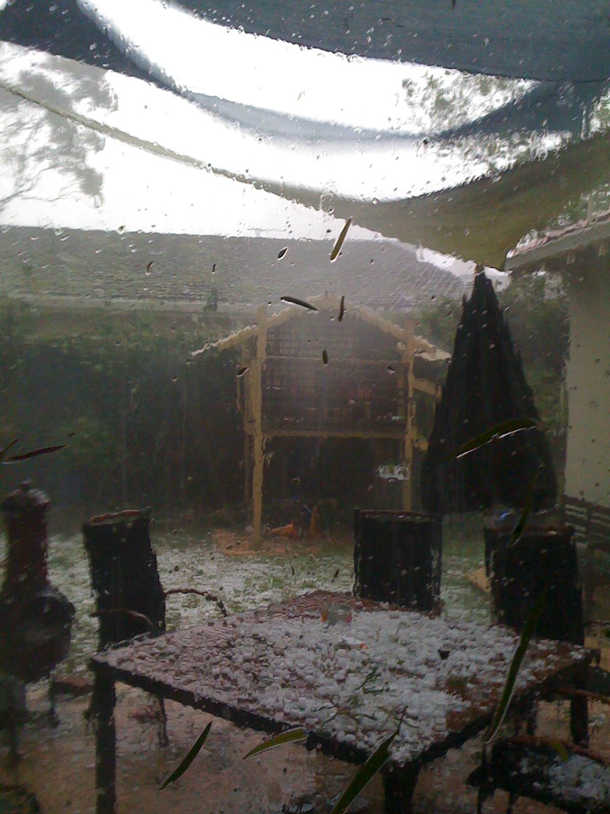 Hail Storm 22-3-2010 010