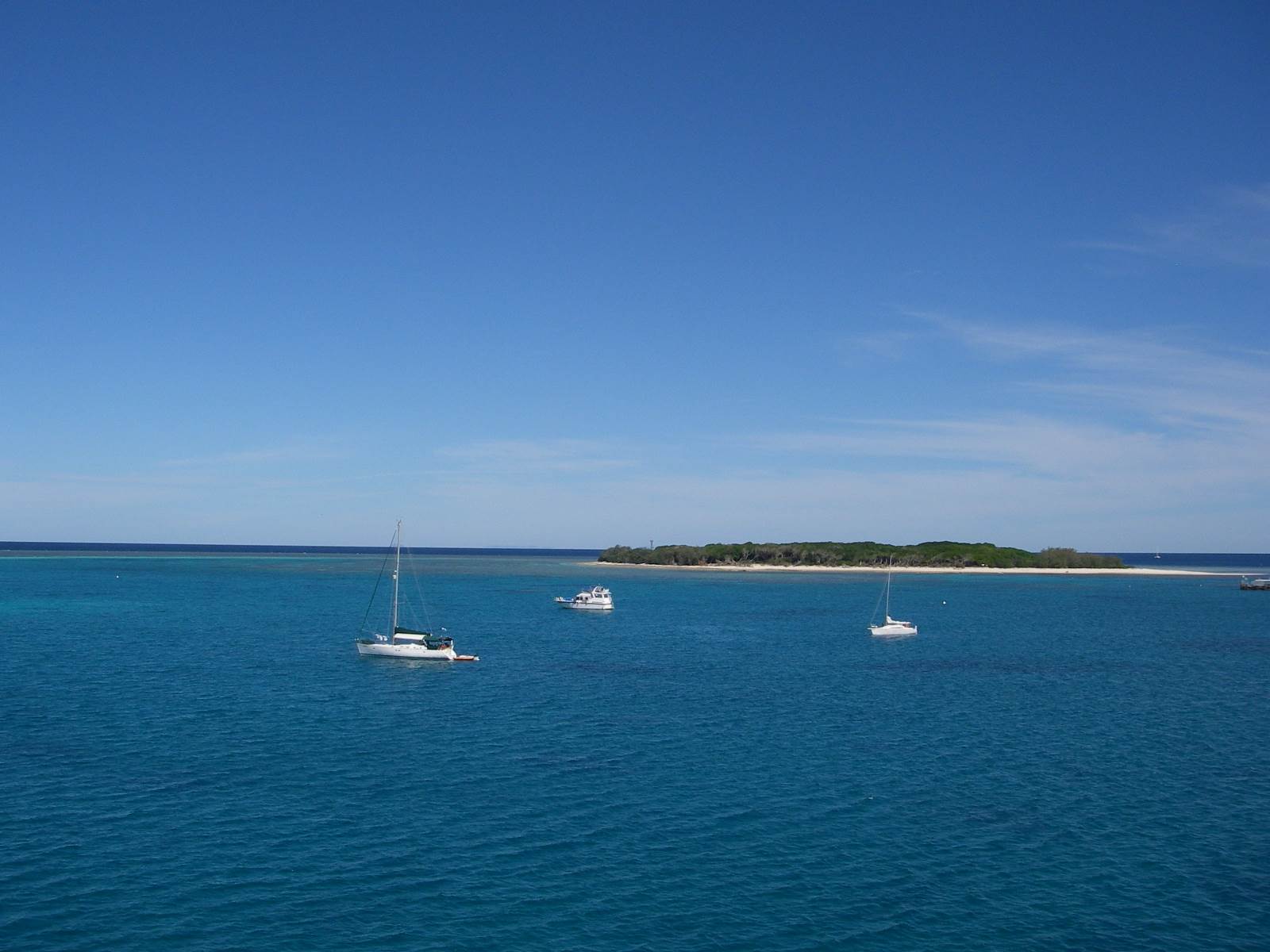 Lady Musgrave Island