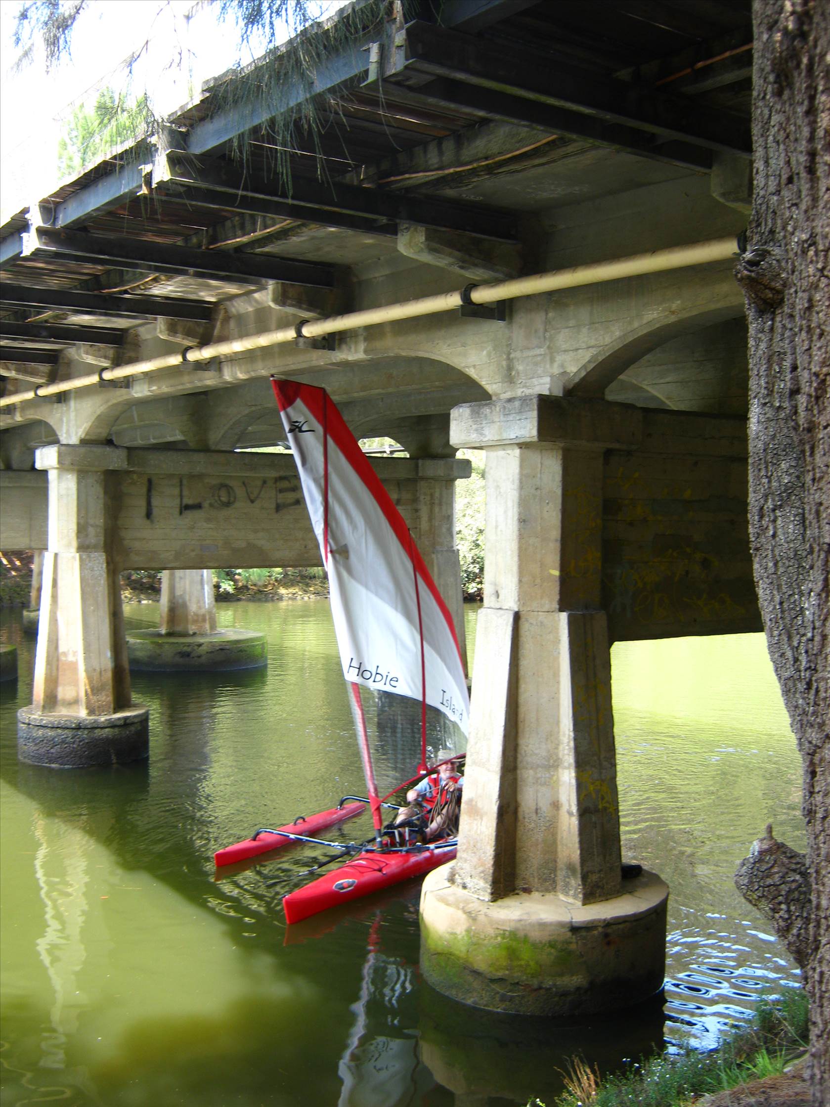 Hobie on Lane Cove River - not me!