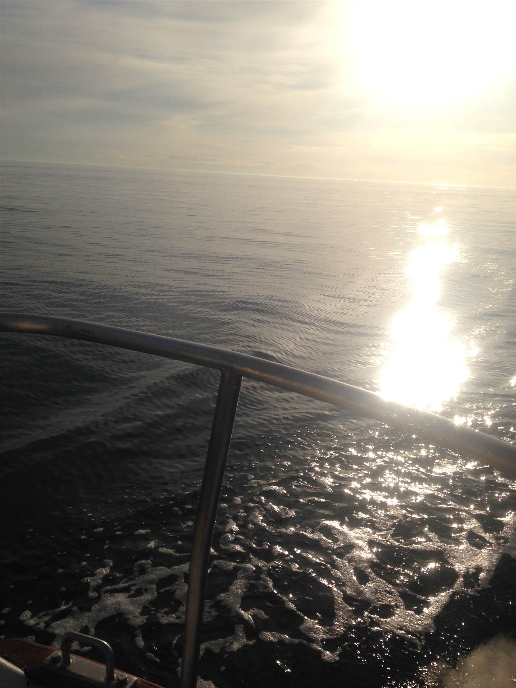 saturdays work and quick cruise 008