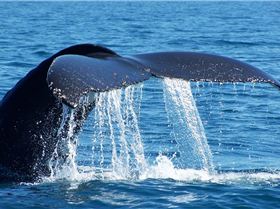 4372181281 5674ae74b7 b[1]