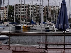 Cannot make up my mind.....