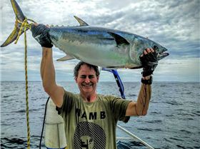 Southern Bluefin Tuna