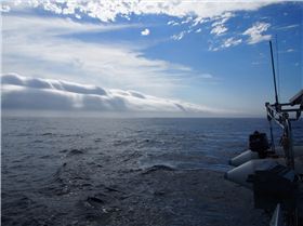 Batten down the hatches!