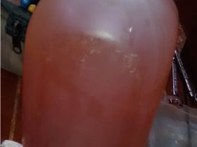 The bug this is filtered fuel