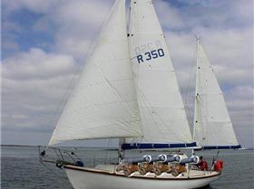 12833347 10153563900079702 1670215695 n