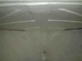 P 20160421 184749 1 p