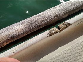 Damage to Galini gunwale